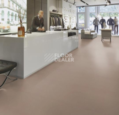 Forbo Marmoleum Decibel on Order 363135 otter фото 3 | FLOORDEALER